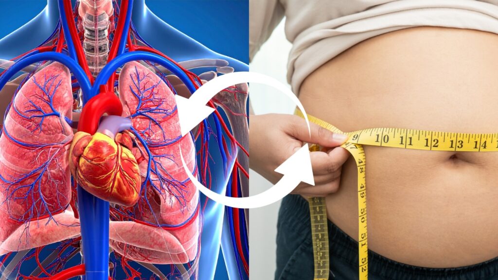 World Heart Day 2025: Strong Heart, Strong Body – Why Weight, Muscles, and Protein Matter