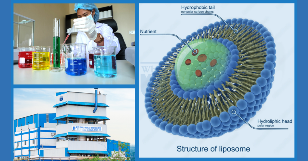 Why India Is Poised for Exponential Growth in Liposomal Nutraceuticals