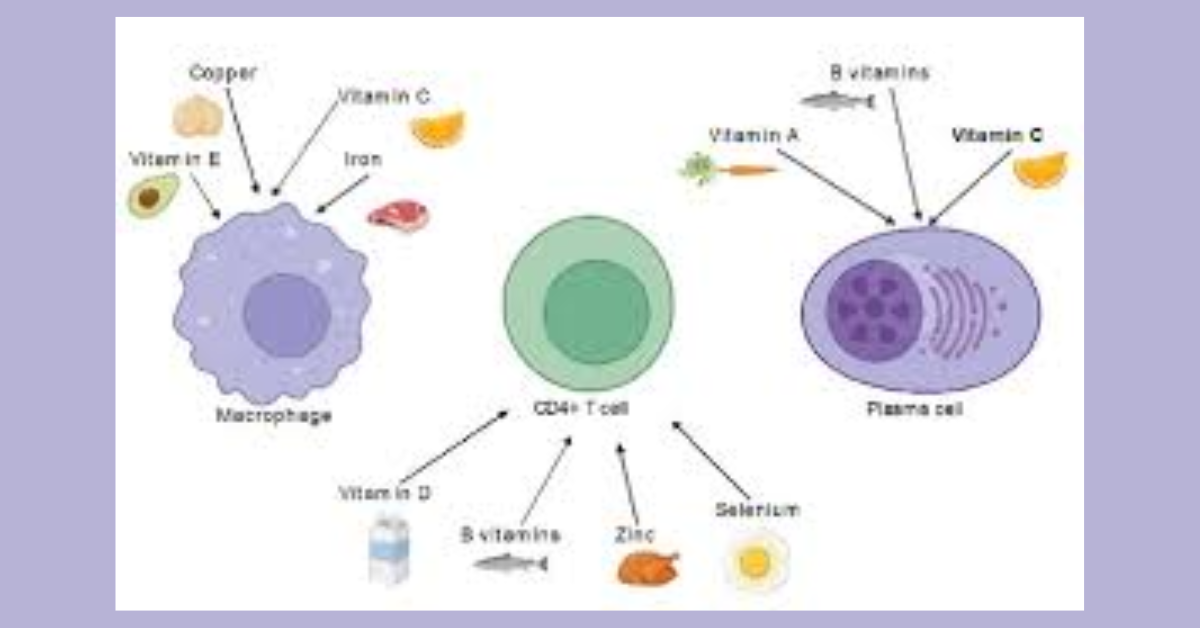 Immunity Takes Centre Stage After COVID‑19 2