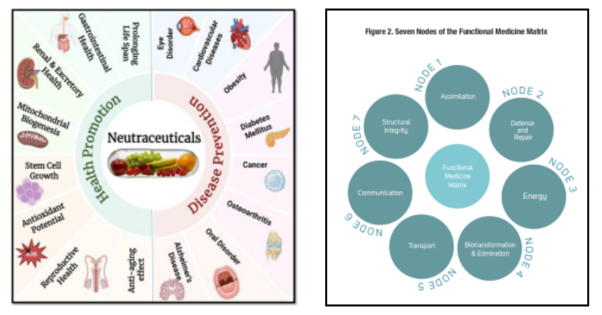 Liposomal Nutraceuticals in Chronic Disease Remission Maintenance