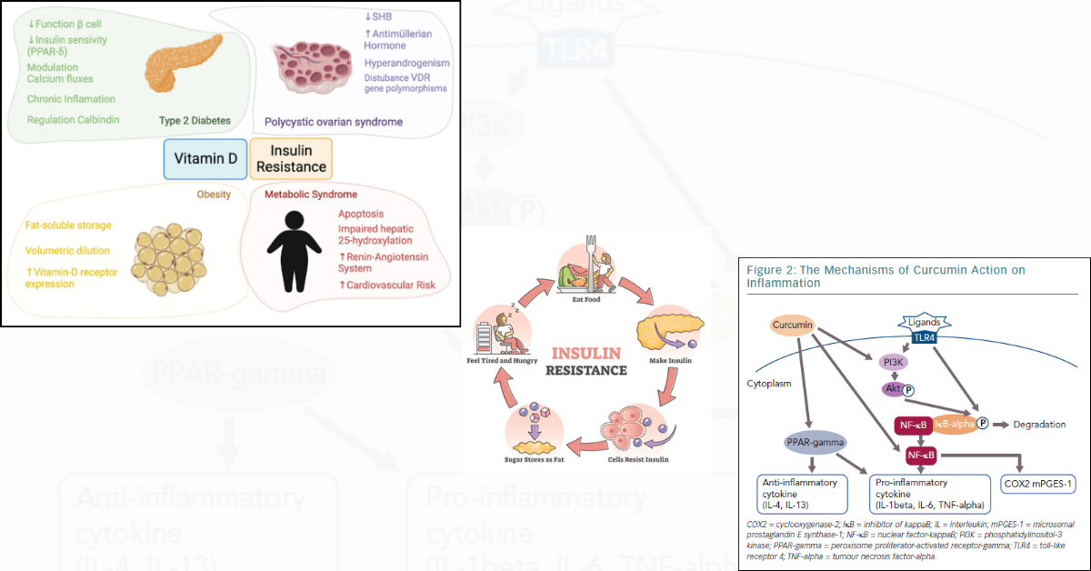 Nutraceuticals That Support Insulin Sensitivity