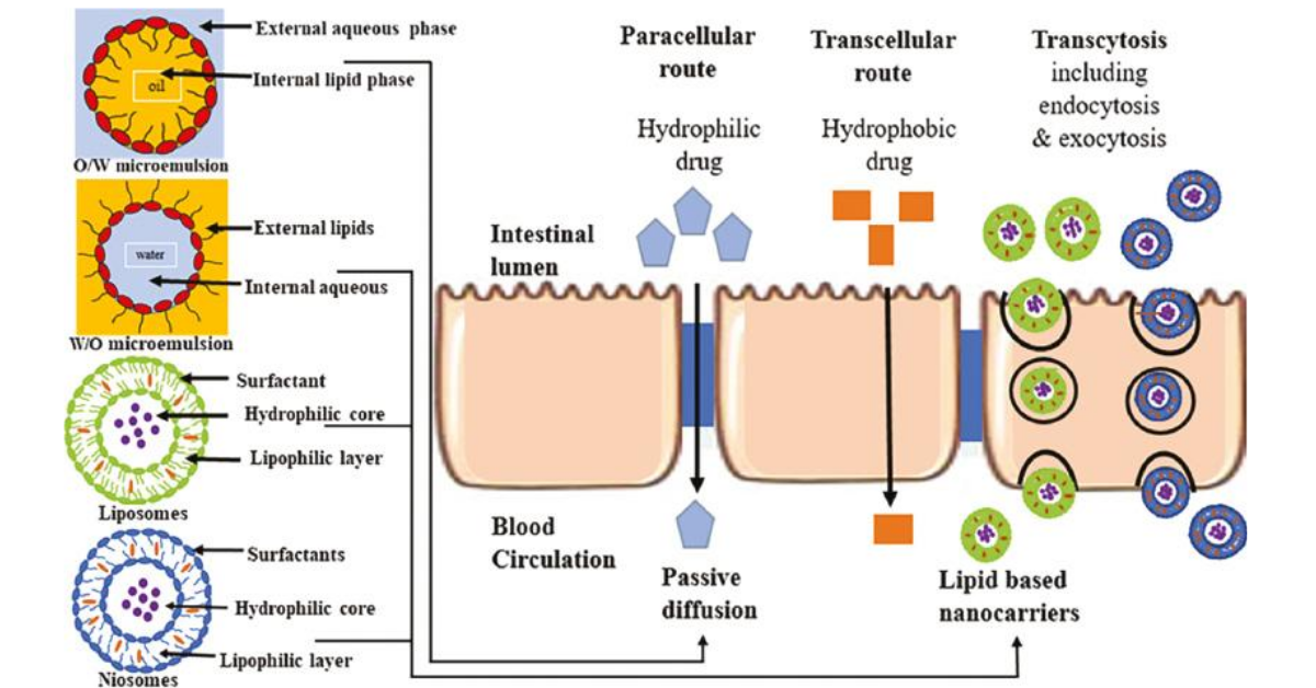 Scientific Comparison Graphs 3
