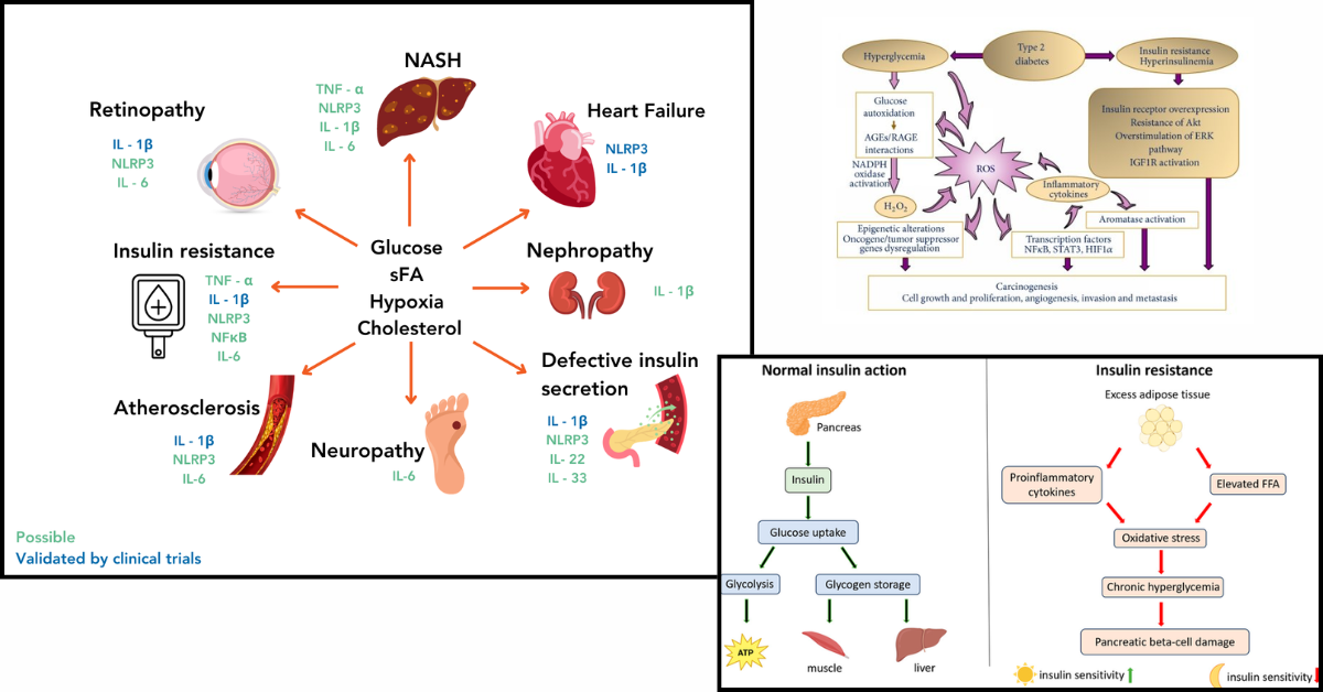 Why Glucose Control Alone Is Not Enough