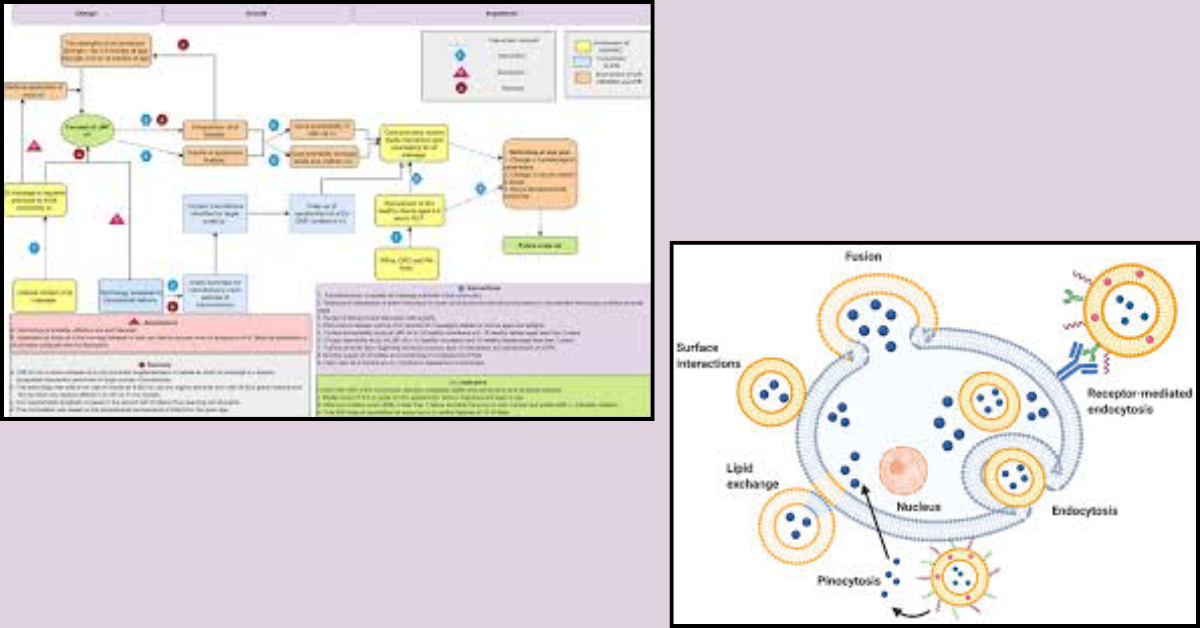 Why Liposomal Micronutrients Change the Clinical Equation