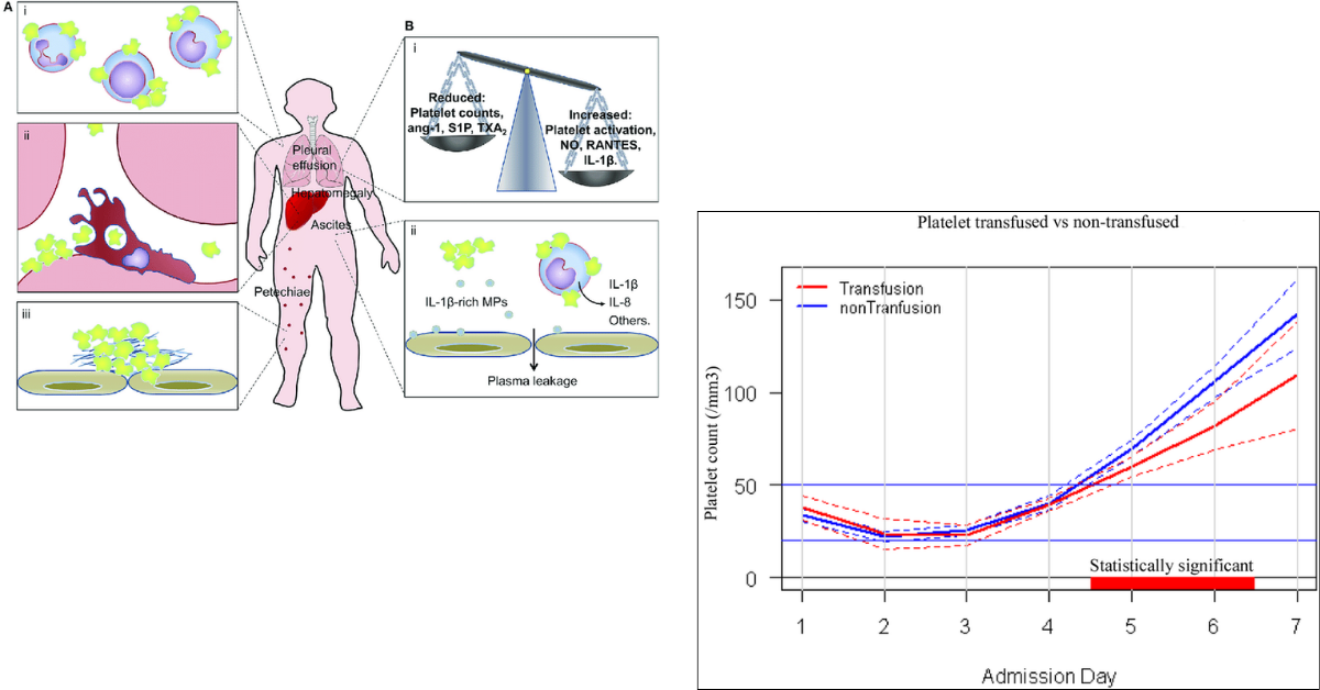 Ingredient Science How ProPRP™ Supports Platelet Health 2