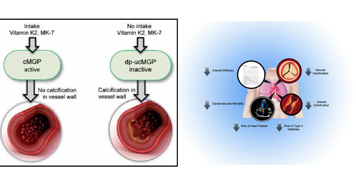 Ingredient Science How ProPRP™ Supports Platelet Health