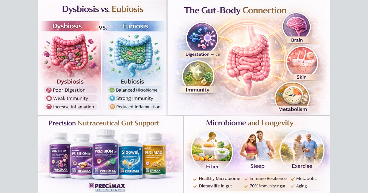 The Modern Gut Reset A Precision Nutraceutical Approach to Lifelong Health 3 dysbiosis vs eubiosis