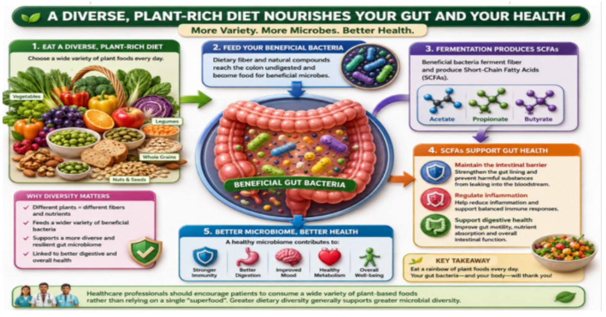 Gut Health Supplements: Why Your Gut Health Isn't Improving Despite Taking Them 3 Gut Health Supplements