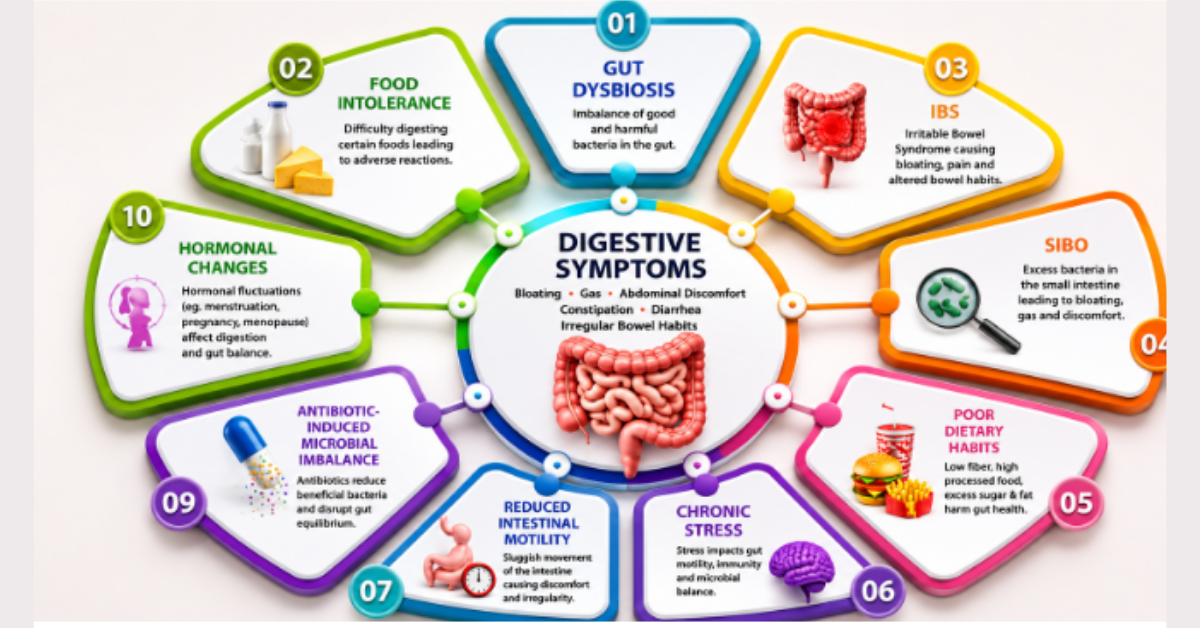 Gut Health Supplements: Why Your Gut Health Isn't Improving Despite Taking Them 1 Gut Health Supplements